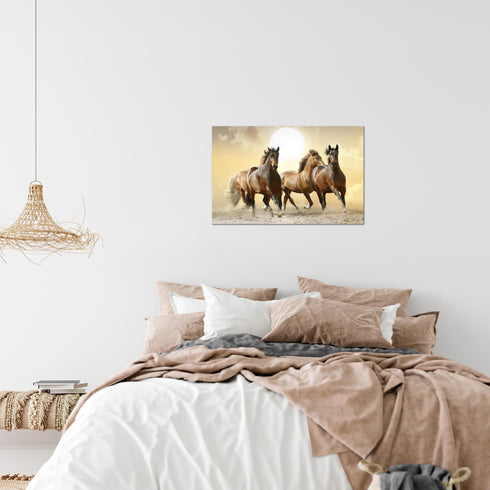 Wandbilder Wohnzimmer XXL Pferde Moderne Bilder Tiere